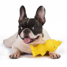Peanuts: Woodstock Classic Vinyl Squeaker Toy