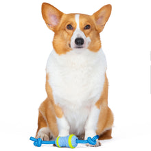 Arm & Hammer: Scrubbies Throw N' Tug Adult Dental Chew Toy