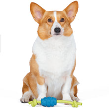 Arm & Hammer: Scrubbies Senior Treat N' Tug Dental Chew Toy