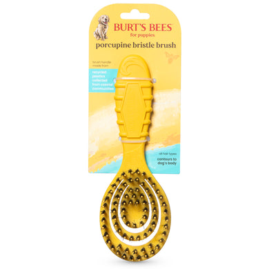 Burt’s Bees Recycled Plastics from Coastal Communities Bristle Brush