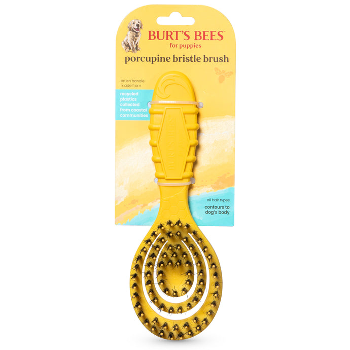 Burt’s Bees Recycled Plastics from Coastal Communities Bristle Brush