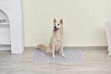 GLAD - Washable Training Pad - Medium 24 x 36 - 2pk