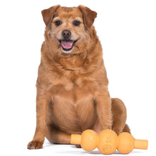 The Dodo Eco-friendly Dental Dog Chew Toy, Chicken Flavor