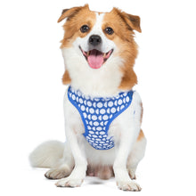 The Dodo Dog Harness, Blue Dodo Print