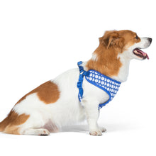The Dodo Dog Harness, Blue Dodo Print