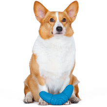Arm & Hammer: Scrubbies Boomerang Senior Dental Chew Toy