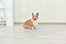 GLAD - Washable Training Pad - Small 18" x 24" - 2pk