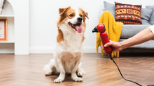 CHI Handheld Hair Dryer