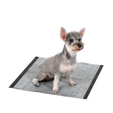 Glad for Pets Activated Carbon Training Pads with Micro-Defensive Technology - 23" x 23" 100ct