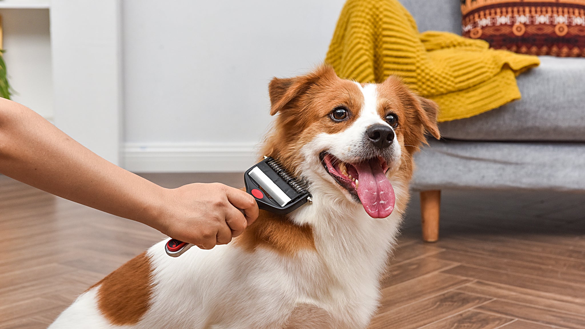 Chi: 2 in 1 Dematting Deshedding Rake Dog – Pets + People