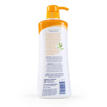 Arm & Hammer Ultra Fresh Itch Relief Shampoo with Oatmeal & Aloe Value Size with Pump 24oz