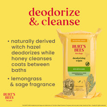 Burt's Bees Deodorizing Wipes with Witch Hazel