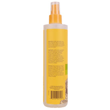 Burt's Bees Deodorizing Spray with Witch Hazel - 10 oz - Lemongrass & Sage