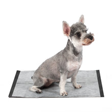 Glad for Pets Activated Carbon Training Pads with Micro-Defensive Technology - 23" x 23" 30ct