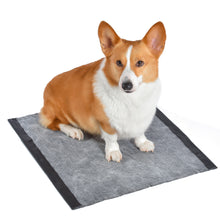 Glad for Pets Dual Action Freshness Activated Carbon Training Pads - 23" x 23" 100ct