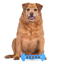 The Dodo Nylon Tasty Chew, Bacon Flavored