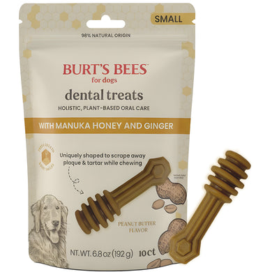 Burt's Bees Manuka Honey + Ginger Dental Treat