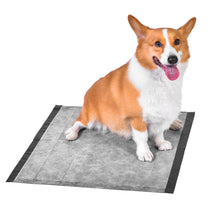 Glad for Pets Heavy Duty Activated Carbon Training Pads - 24" x 24" 100ct