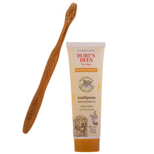 Burt's Bees Manuka Honey Dental Kit for Dogs, Fresh Mint