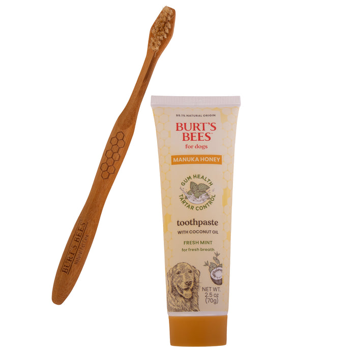 Burt's Bees Manuka Honey Dental Kit for Dogs, Fresh Mint
