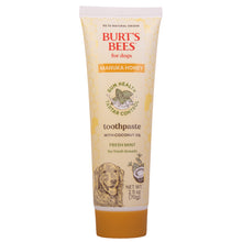 Burt's Bees Manuka Honey Dental Kit for Dogs, Fresh Mint