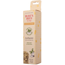 Burt's Bees Manuka Honey Dental Kit for Dogs, Fresh Mint