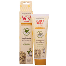 Burt's Bees Manuka Honey Dental Kit for Dogs, Fresh Mint
