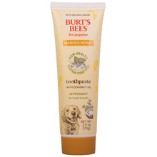Burt's Bees Manuka Honey Dental Kit for Puppies, Peppermint