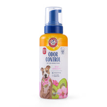 Arm & Hammer Odor Control No-Rinse Foam