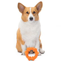 Arm & Hammer: Nubbies Rubber Ring Dental Toy for Dogs