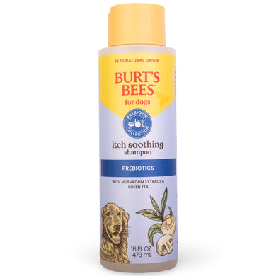 Burt's Bees Prebiotic & Mushroom Itch Soothing Shampoo for Dogs