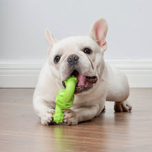 Arm & Hammer: Nubbies Wave Dental Toy for Dogs