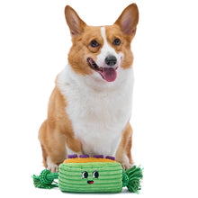 JIF: Ants on a Log Plush Scented Rope Toy 12"