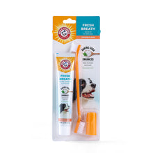 Arm & Hammer Fresh Breath Dental Kit for Dogs, Chicken