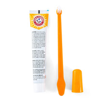 Arm & Hammer Fresh Breath Dental Kit for Dogs, Chicken