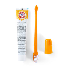 Arm & Hammer Tartar Control Dental Kit for Dogs, Beef