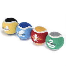 Harry Potter: 4PK Hogwarts Pride Pet Tennis Balls