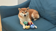Harry Potter: 4PK Hogwarts Pride Pet Tennis Balls