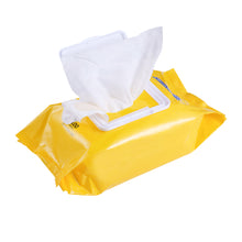 Wet Ones Deodorizing Wipe for Dogs - 100 ct pouch, 3 pc PDQ