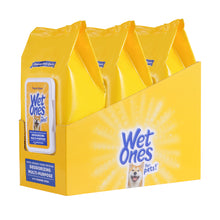 Wet Ones Deodorizing Wipe for Dogs - 100 ct pouch, 3 pc PDQ